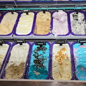 Double Vanilla Ice Cream 